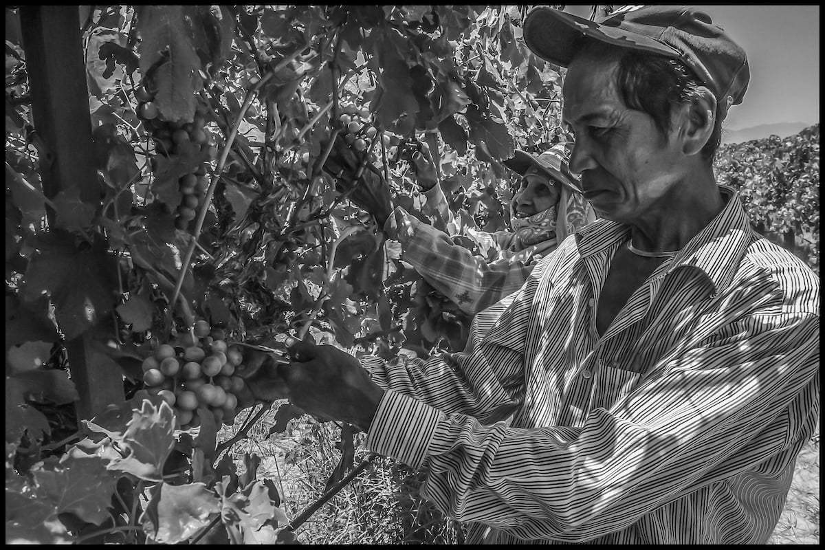 Image for article: Larry Itliong and the Great Delano Grape Strike
