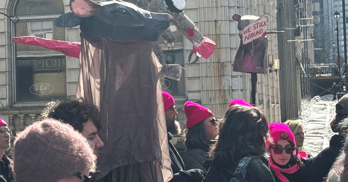 Image for article: NSCAD <b>workers strike</b> after conciliation talks with university fail