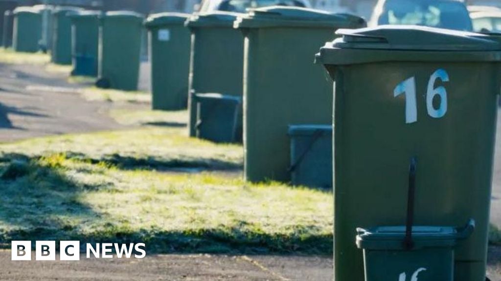 Image for article: Garden waste service in Birmingham not being reintroduced yet