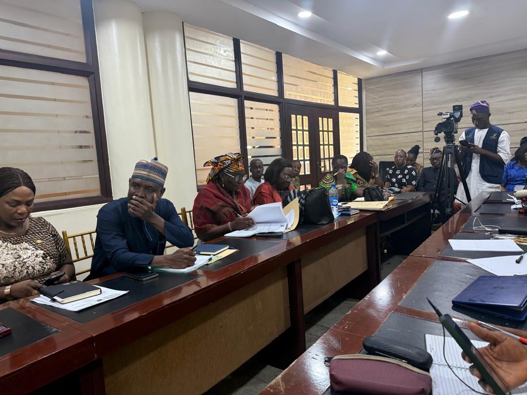 Image for article: LAGOS ASSEMBLY INTERVENES; ENDS 78-DAY HEALTH <b>WORKERS</b>' <b>STRIKE</b>