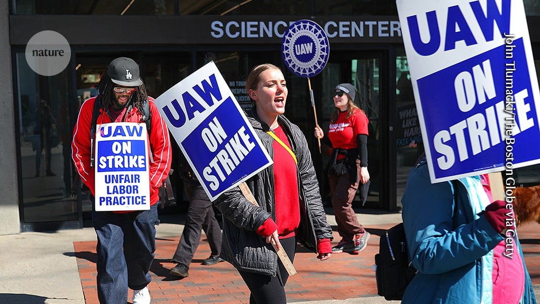 Image for article: Thousands of Harvard graduate students <b>strike</b> — bringing research to a halt - Nature