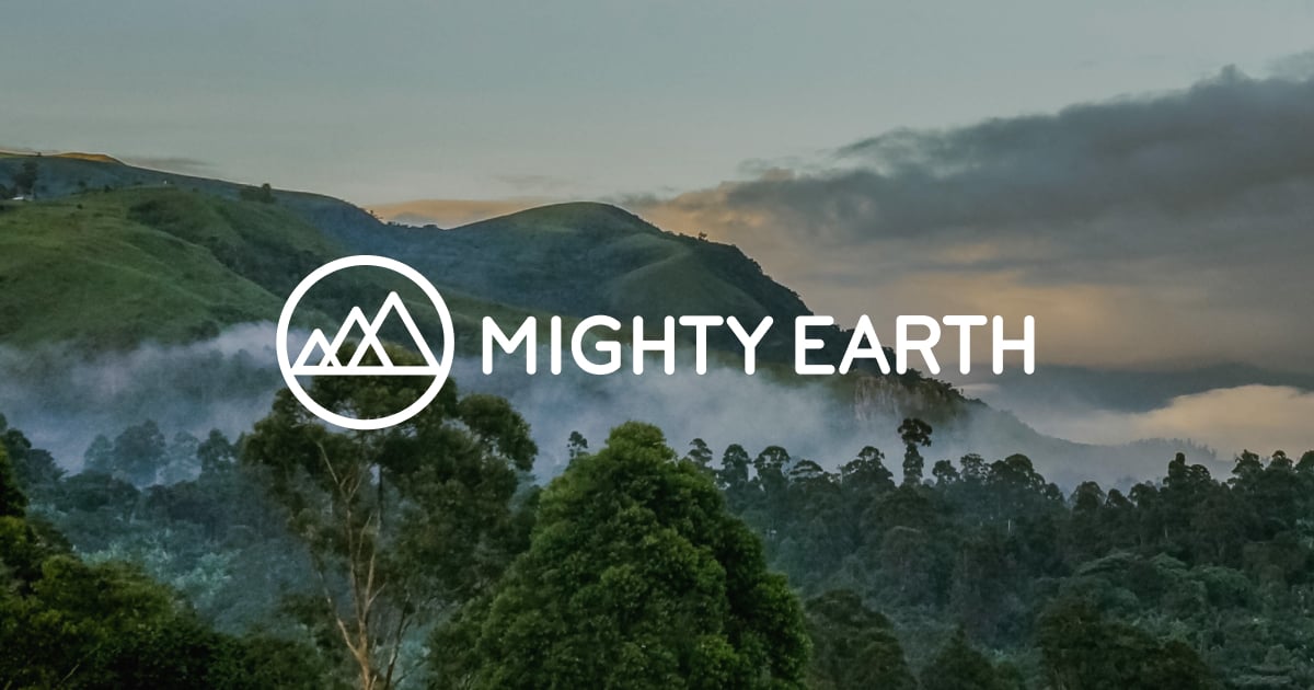 Image for article: JBS's "Callous" Treatment of Workers Puts Profit Before People - Mighty Earth