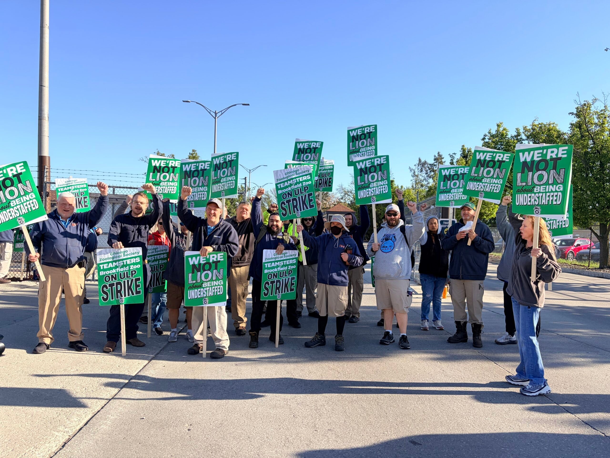 Image for article: Teamsters at the Brookfield Zoo Chicago Launch ULP Strike