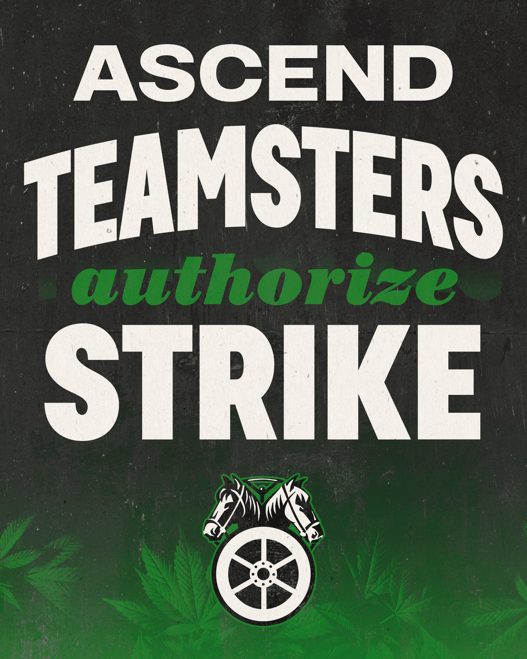 Image for article: Teamsters Authorize Strike at Ascend Wellness