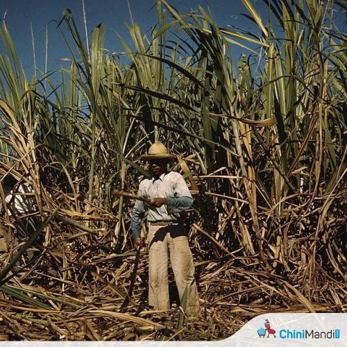 Image for article: Kenya: Nationwide sugar <b>workers</b>' <b>strike</b> looms over KSh 1.9 billion unpaid dues