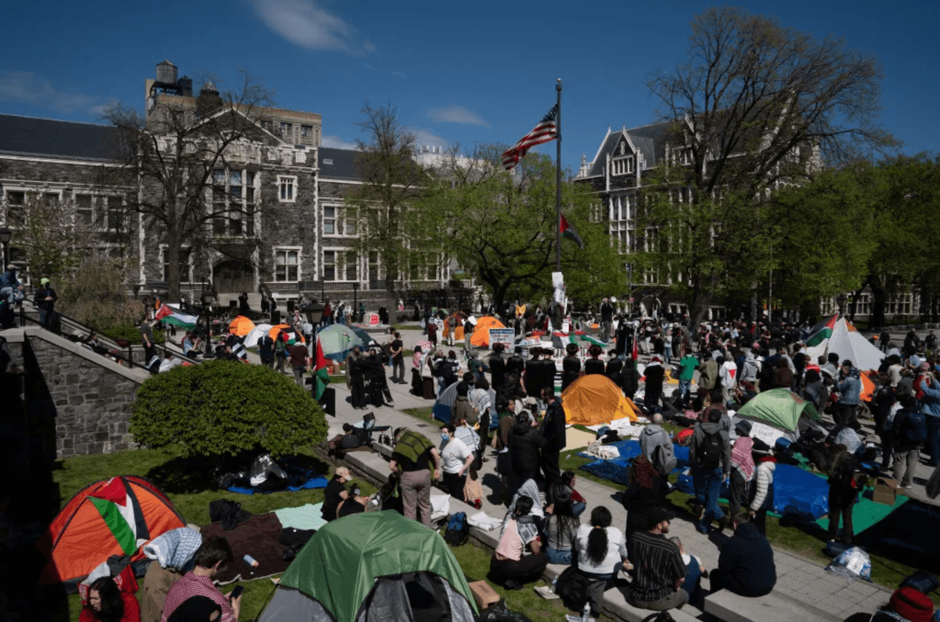 Image for article: What Is an Assembly? A Guide to True Democracy