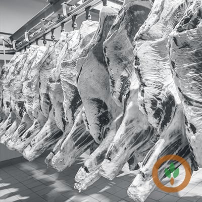 Image for article: JBS agrees to resume talks, prompting end to three‑week worker strike in Greeley, Colorado - Brownfield Ag News