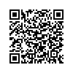 Image for article: Roundup: Kenyan aviation <b>workers</b> end <b>strike</b> after flight disruptions - Xinhua