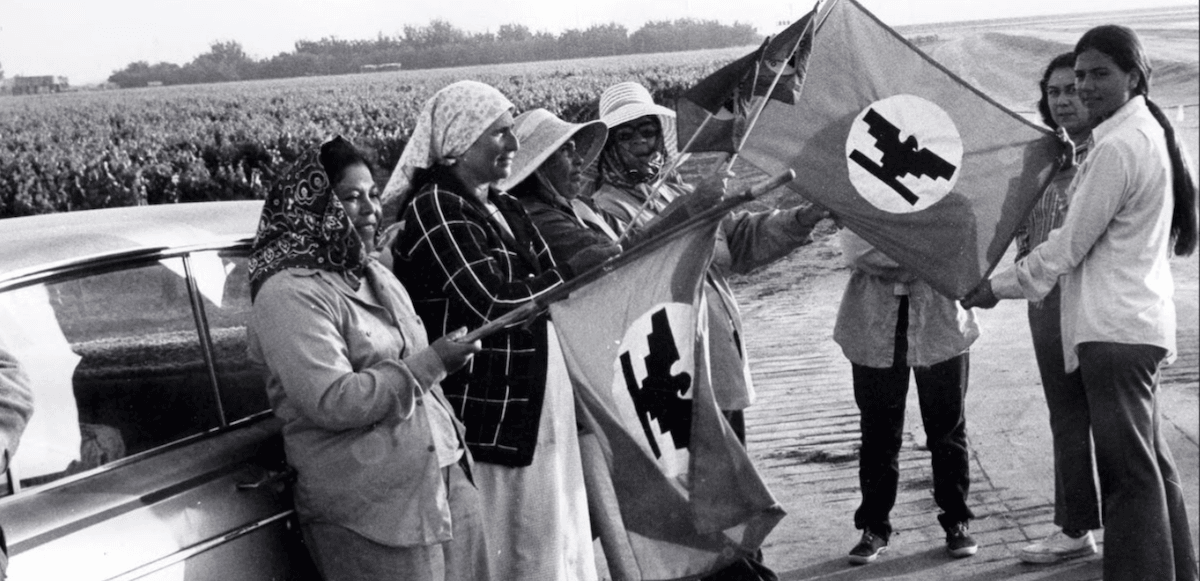 Image for article: Lack of Democracy in United Farm Workers Gave Chavez Immunity