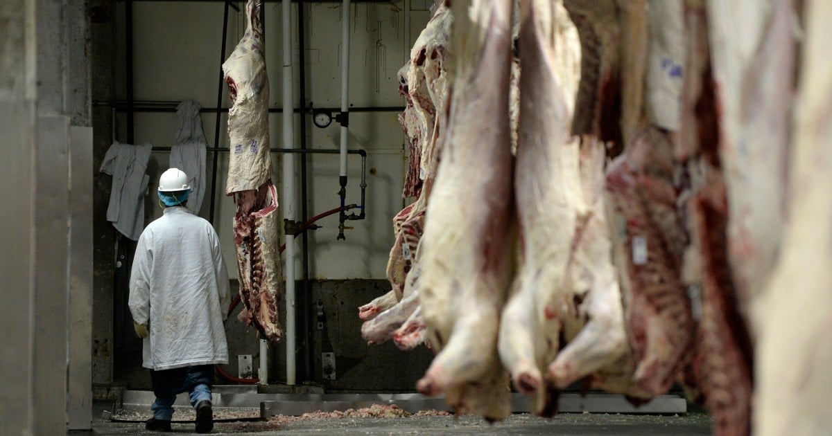 Image for article: 3,800 <b>workers</b> are set to <b>strike</b> Monday at one of the nation's largest meatpacking plants