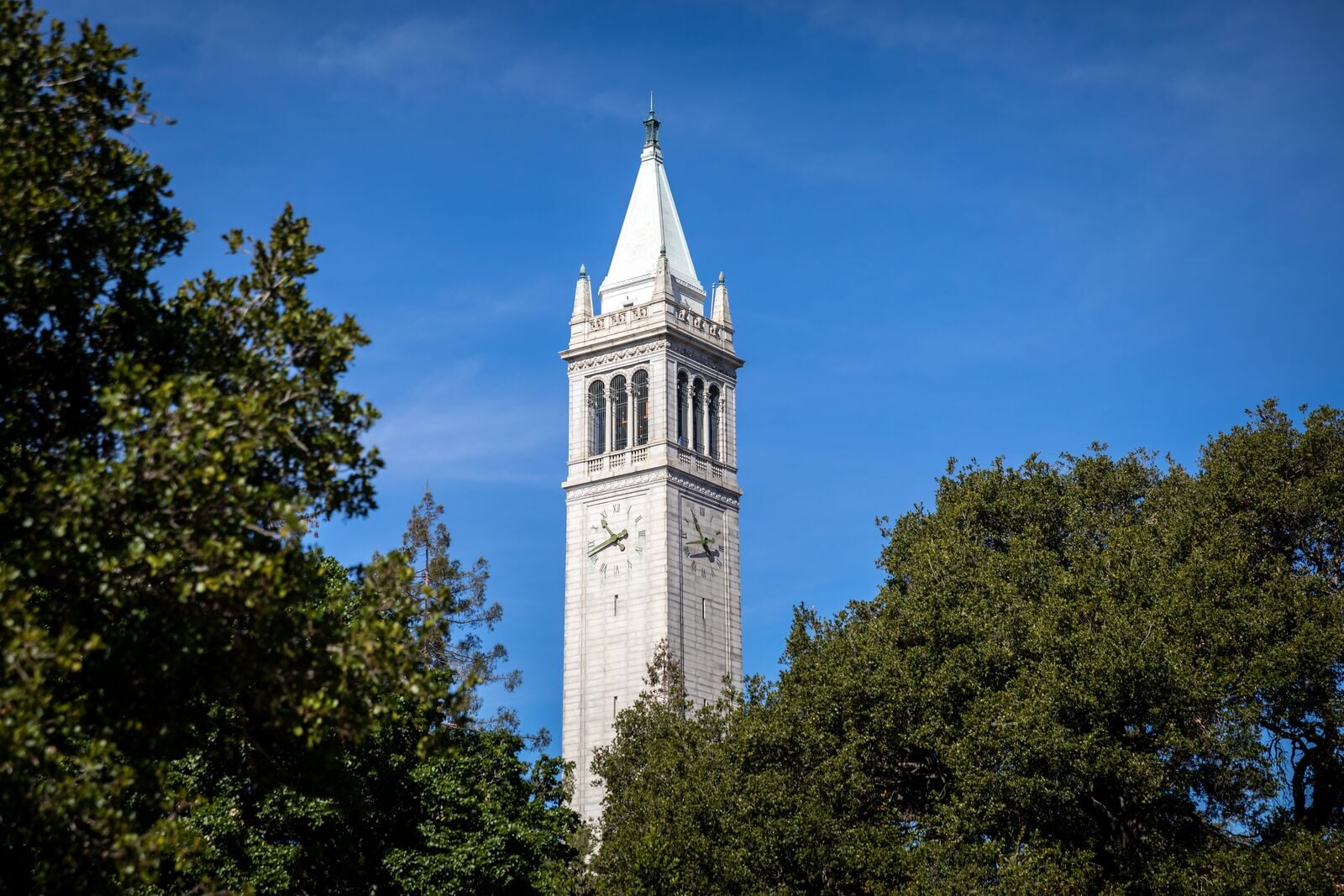 Image for article: The Wire: UC <b>workers</b> avert <b>strike</b> with tentative deal at final hour - Berkeleyside
