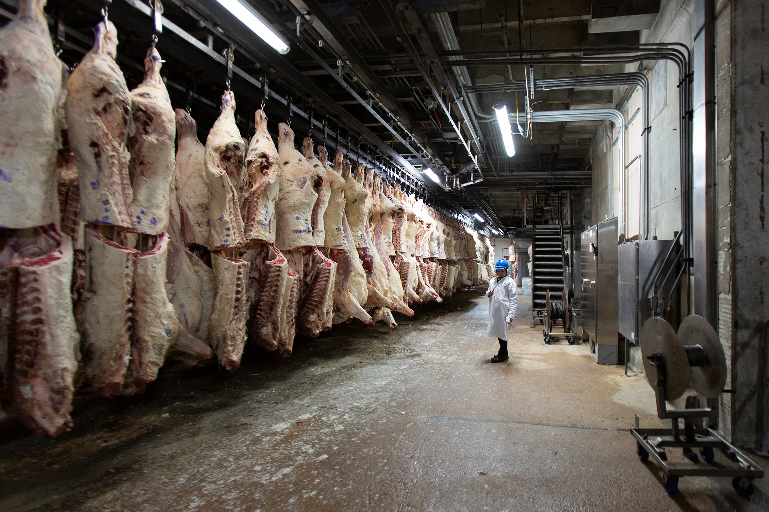Image for article: Cargill <b>workers</b> reject contract, are shut out from their jobs - The Colorado Sun