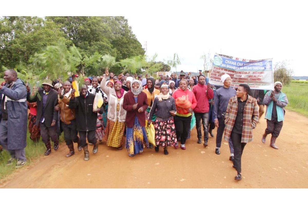Image for article: Tea factory <b>workers strike</b> over unpaid wages - The Citizen Tanzania
